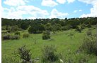 Property photo 46 - 7,320 Acres Offered in 5 Tracts